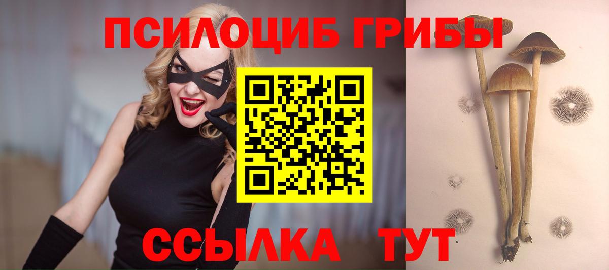 Ульяновск  Псилоцибиновые грибы ЛСД  Псилоцибиновые грибы мицелий  Вход с VPN 